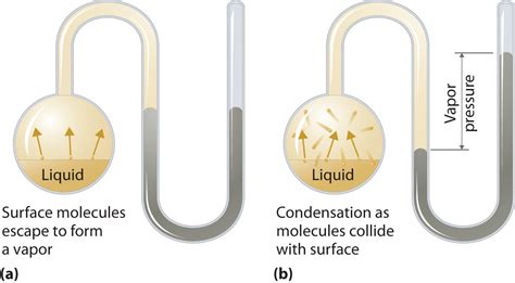 11.5: Vapor Pressure - Chemistry LibreTexts