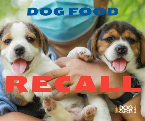 Dog Food Recall: Check Your Dates - Dog Cancer Blog