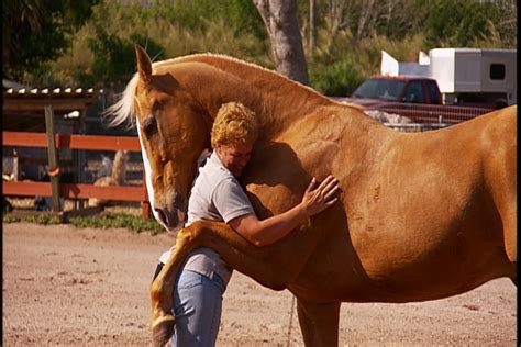 40 Heart Touching Animals and Humans Hug Pictures