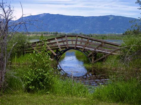 Creston Valley Wildlife Management Area - West Kootenay Hiking