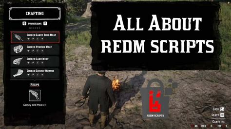 Discover the Potential of RedM Scripts: Your Essential Guide