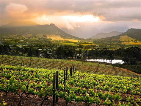 Cape Winelands Home Of Award Winning Wineries