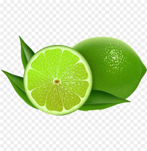 lime clipart sweet lime - fresh lemon clip art PNG image with transparent background | TOPpng