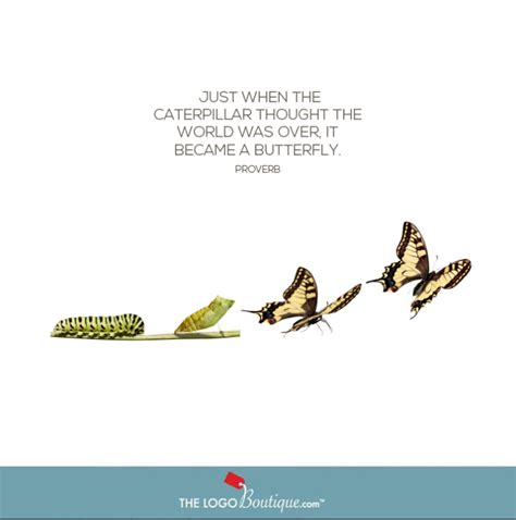 Caterpillar To Butterfly Quote - ShortQuotes.cc