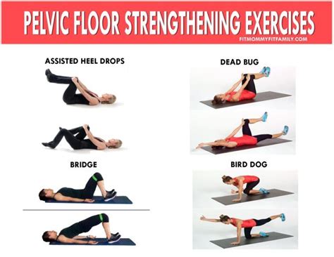 How Often Should I Do Pelvic Floor Exercises – Online degrees