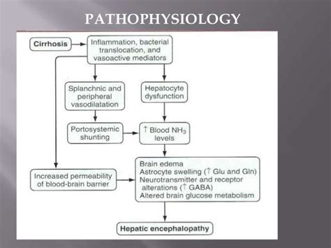 Hepatic encephalopathy presentation latest aspect