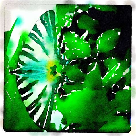 Papillon Plant Leaves, Patterns, Plants, Butterflies, Block Prints ...