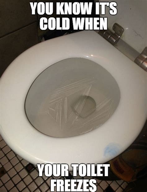 Toilet Seat Meme