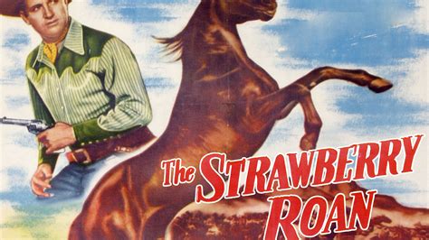 Watch The Strawberry Roan (1948) Full Movie Free Online - Plex