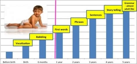 Language Development Stages - Spacotin