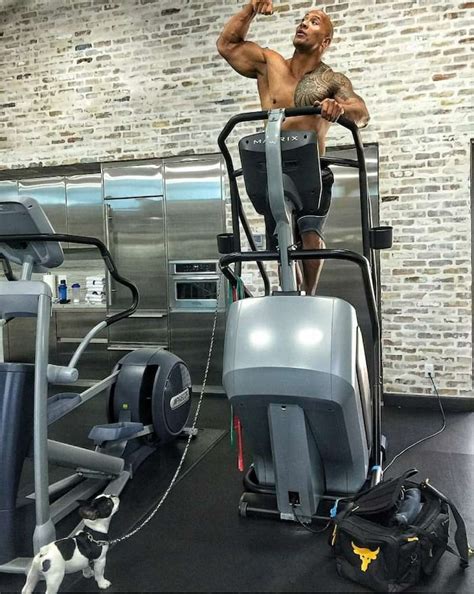 Dwayne 'The Rock' Johnson's Insane Home Gym and Traveling Iron Paradise ...