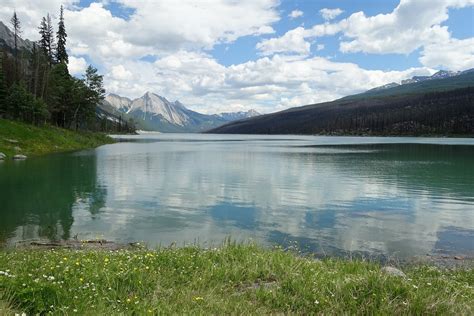 Medicine Lake, Alberta: Disappearing Lake - Grazy Goat