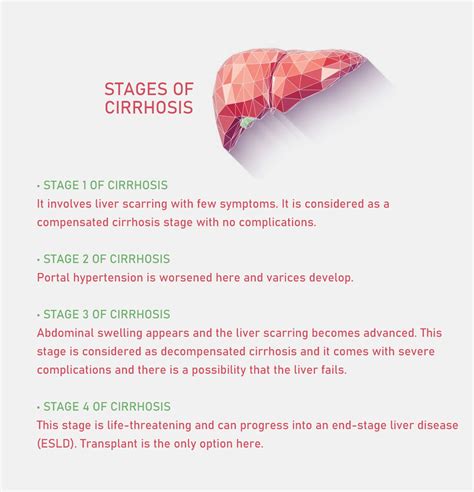 What are the Final Stages of Cirrhosis of the Liver? - Fatty Liver Disease