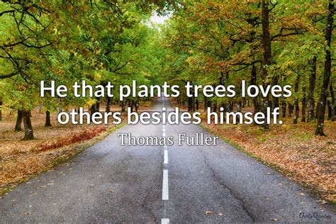 30 Tree Plantation Quotes to Inspire the Environmentalist in You