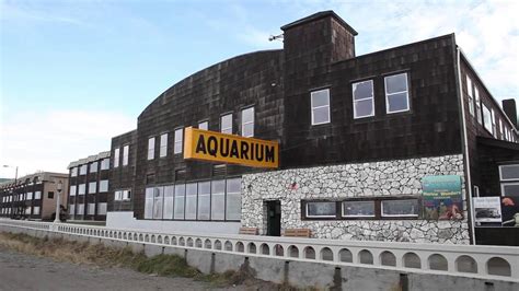 Seaside Aquarium - YouTube