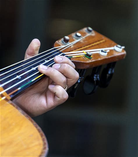 Mariachi Playing Guitarron Photograph by Robert Ullmann - Pixels