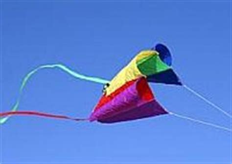 Types Of Kites - 8 Popular Single Liners