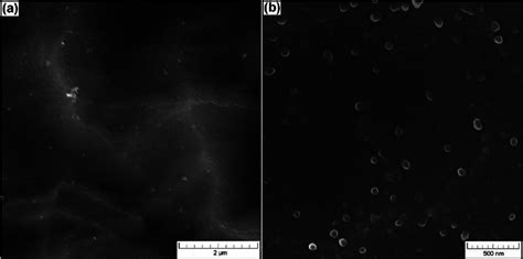 SEM of surface morphology of titania coatings (IHT 800-030): a ...