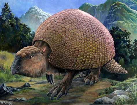 Glyptodon Facts, Habitat, Diet, Fossils, Pictures