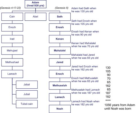 Family Tree Of Adam