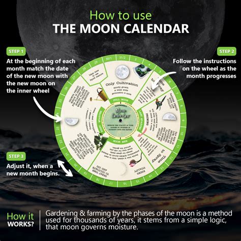 Gardening Moon Calendar, Perpetual Lunar Cycle Calendar for Gardeners - CraftSaints