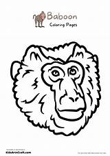 22  baboon coloring Pages EydenFairaaz sketch template