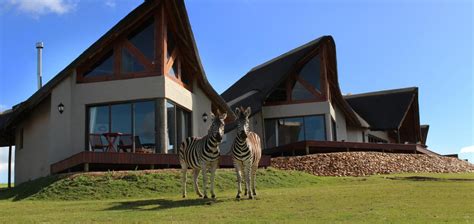 J-Bay Zebra Lodge , Eastern Cape Review | The Hotel Guru