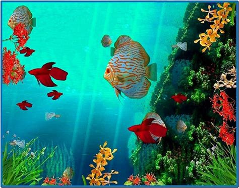 Coral Reef 3D Screensaver and Animated Wallpaper - Download ...