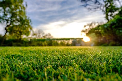 Does Artificial Grass Get Hot In The Sun? | Easigrass™