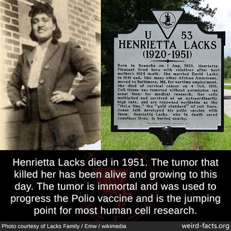 The immortal life of henrietta lacks quotes - apohp