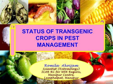 Transgenic crops | PPT