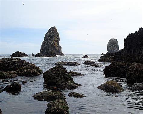 Tide Pools at Haystack Rock in Cannon Beach, Oregon - Kid-friendly ...