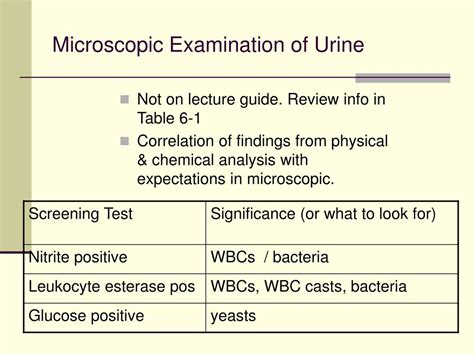 PPT - Microscopic Examination of Urine PowerPoint Presentation - ID:236160