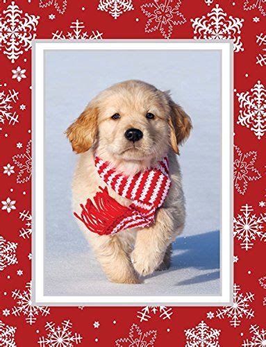 Fuzzy Puppy - Golden Retriever Christmas Cards Team Husar... https://www.amazon.com/… | Golden ...