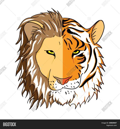 Half Lion Half Tiger Vector & Photo (Free Trial) | Bigstock