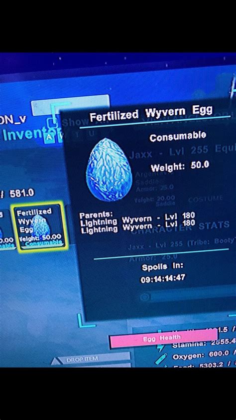 Hey guys!! Remember my 185 fire wyvern egg. Look what I found today ...