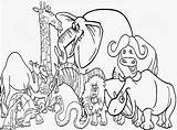 Zoo Animal Coloring Pages To Print sketch template