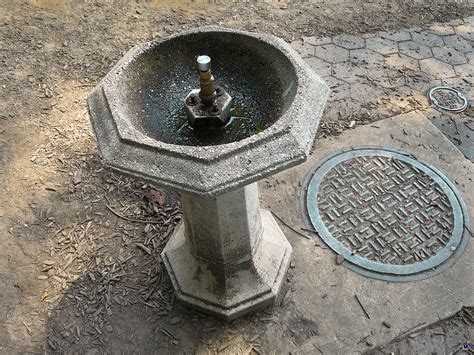 Central Park Water Fountain Photograph by Muriel Levison Goodwin