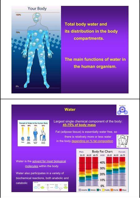 Total body water and its distribution in the body compartments. The ...