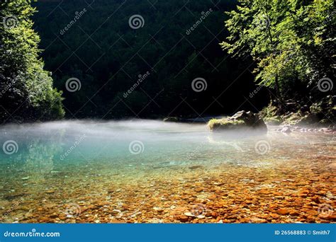 Lake eye stock image. Image of stones, trees, drinking - 26568883