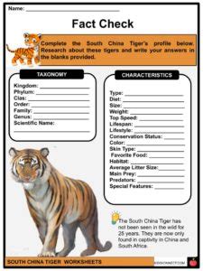 South China Tiger Facts, Worksheets & Taxonomy For Kids