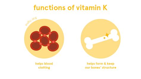 Vitamin K: foods, functions, how much do you need & more | Eufic