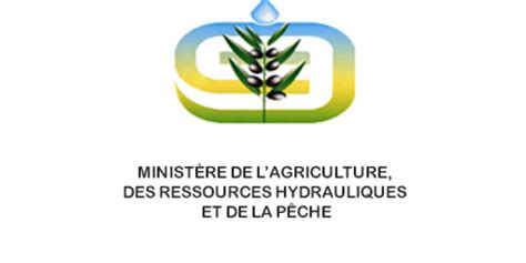 Tunisia-New appointments at the Ministry of Agriculture - Tunisia News