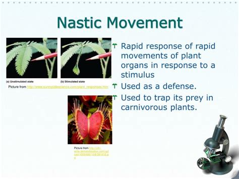 PPT - Plants in Motion PowerPoint Presentation - ID:6567473