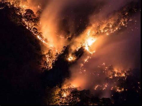 9 things to know about the North Carolina wildfires | wcnc.com