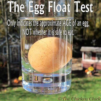 Egg Float Test- Indicates Approximate Age, NOT Egg Safety