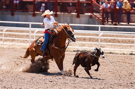 Life and Rodeo Lessons from Resistol Rookie Champion Madison Outhier