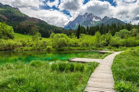 Zelenci Nature Reserve | Think Slovenia