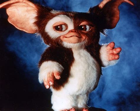 Gizmo | Monster Wiki | Fandom