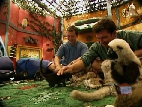 Zoboomafoo - Animal Daycare - video Dailymotion